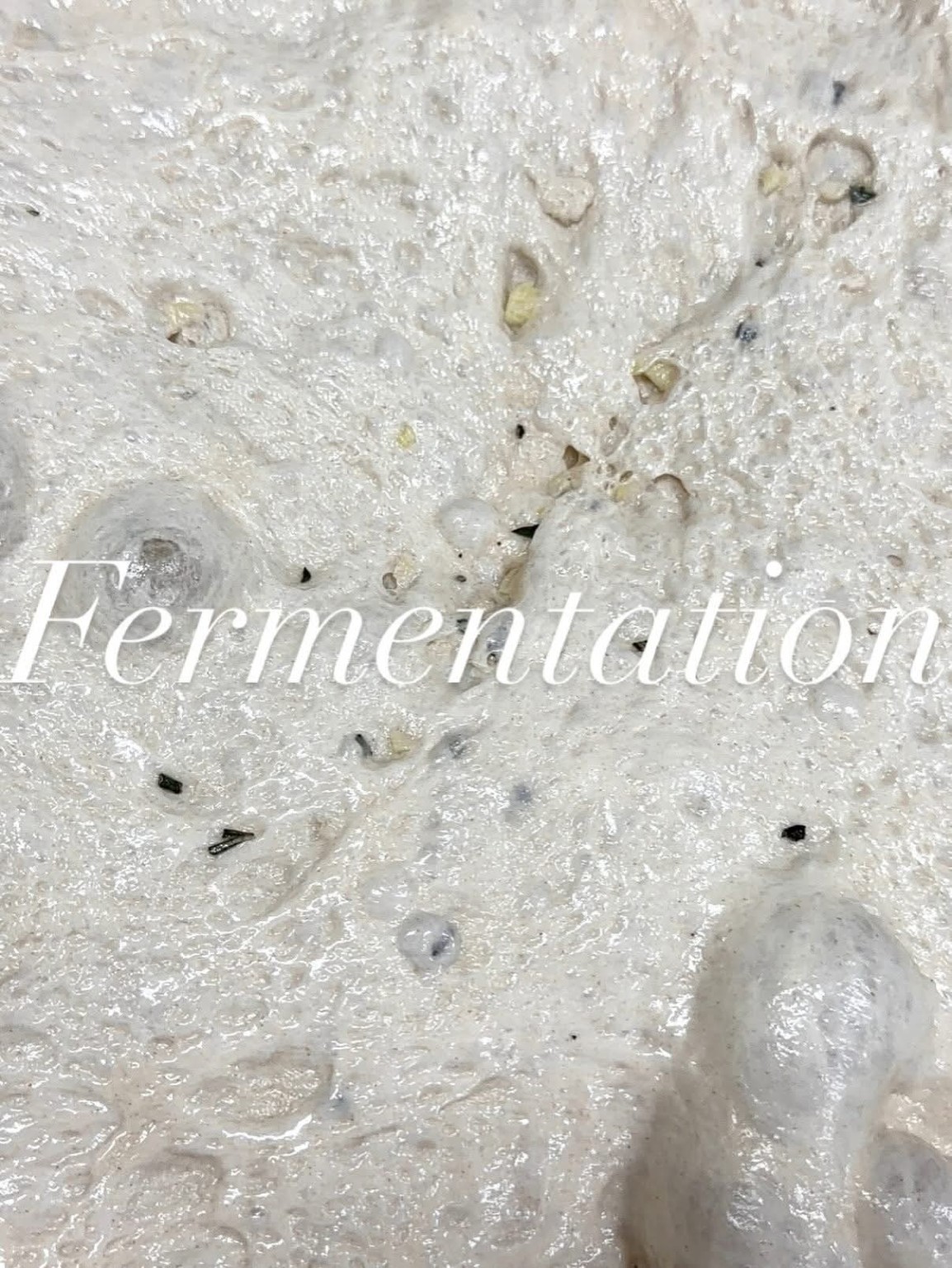 Fermentation